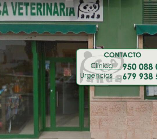 Panda Veterinary Clinic
