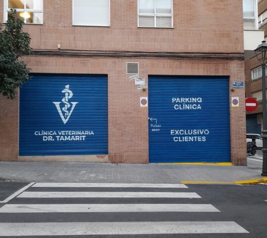 Parking Clinica Doctor Tamarit