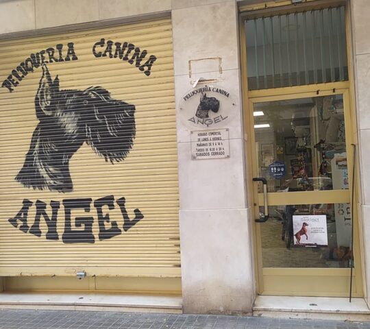 Peluquería Canina Ángel