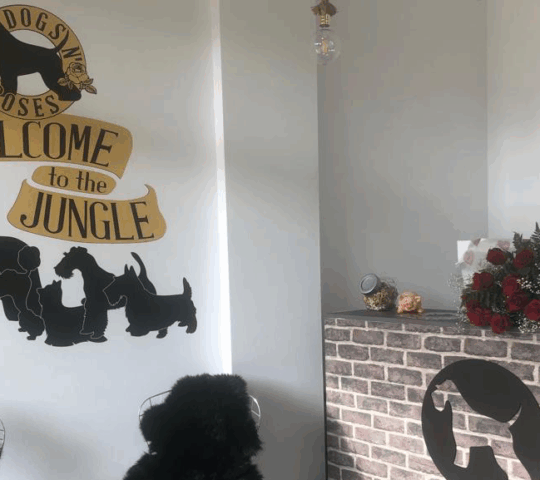 Peluquería Canina Dogs N’ Roses