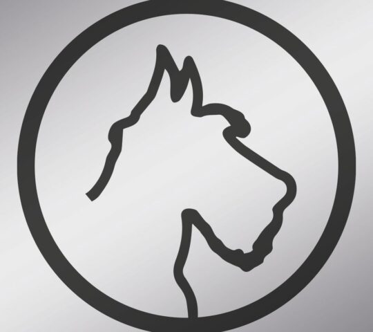 Peluquería Canina Febles