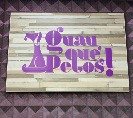 Peluquería Canina, Guau Qué Pelos!