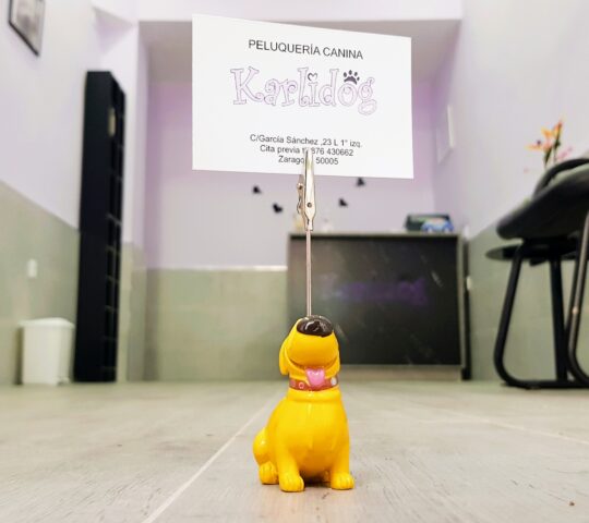 Peluquería Canina Karlidog Peluquería Canina Karlidog