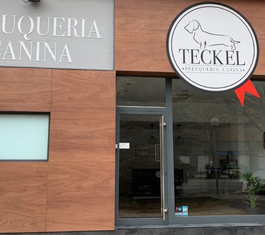 Peluquería Canina Teckel Peluquería Canina Teckel