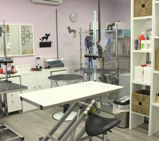 Peluquería Canina y Escuela de peluqueria PLUCKING en Santander