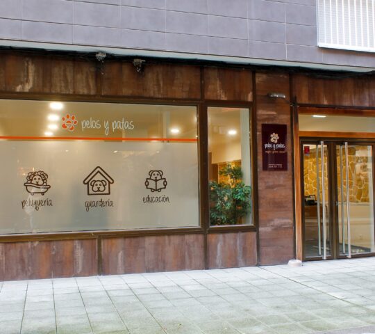 Peluquería, Guardería y Educación Canina Pelos & Patas
