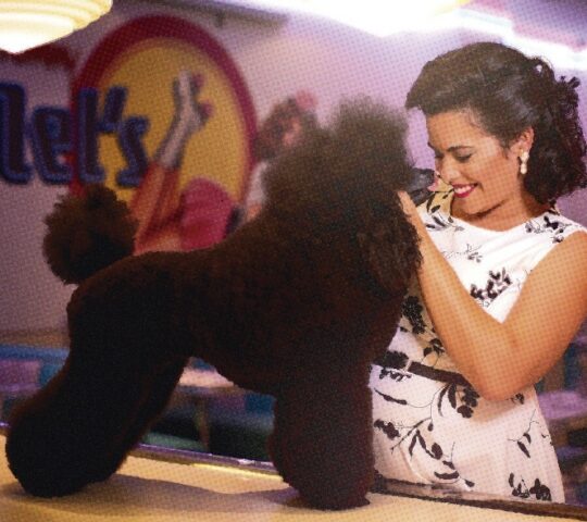 Peluqueria canina Madogna