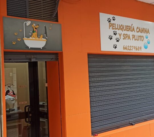 Peluquería canina y spa Pluto Peluquería canina y spa Pluto