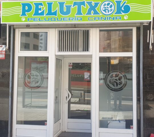 Pelutxok