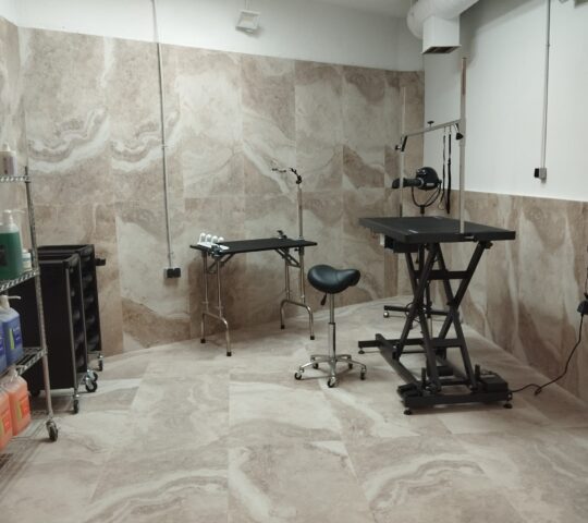 PetCenterLeal PetCenterLeal