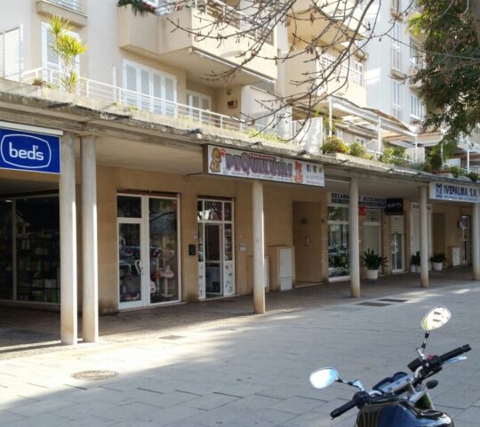 Pichichus: Peluqueria Canina en Mallorca