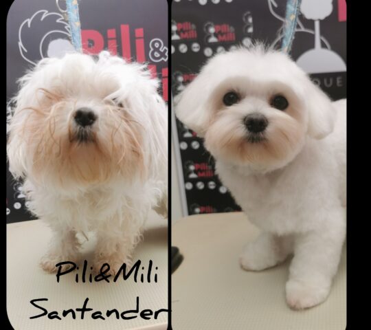 Pili & Mili