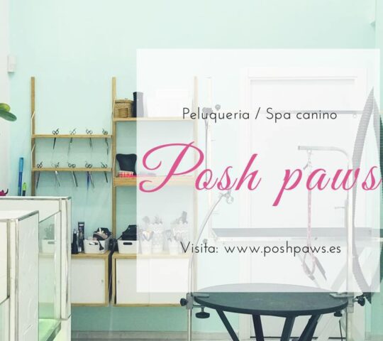 Posh paws
