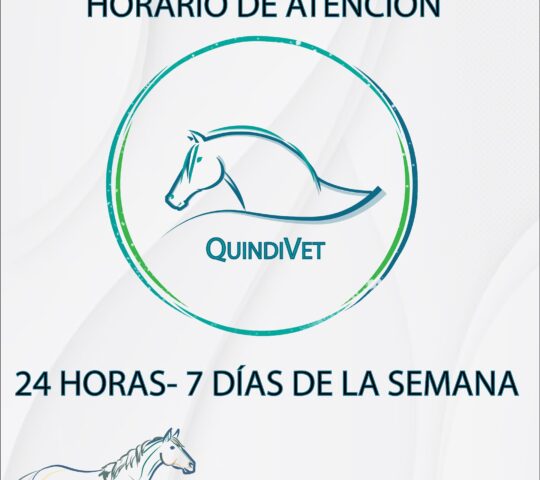 QUINDIVET – Veterinario QUINDIVET – Veterinario