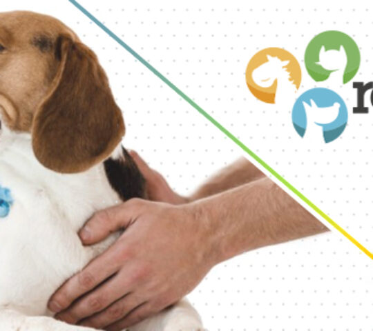 Radial Vet Radial Vet