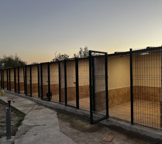 Residencia Canina Málaga Can Resort