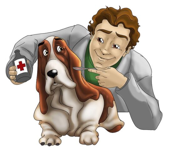 Sa Indioteria Clinica Veterinaria