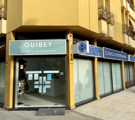 Quibey | Veterinario en Santa Cruz de Tenerife