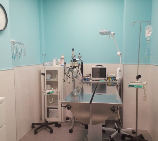 Santander Veterinary Clinic