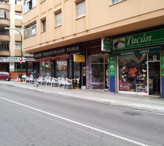 TUCAN. Peluquería Canina y Felina. TUCAN. Peluquería Canina y Felina.