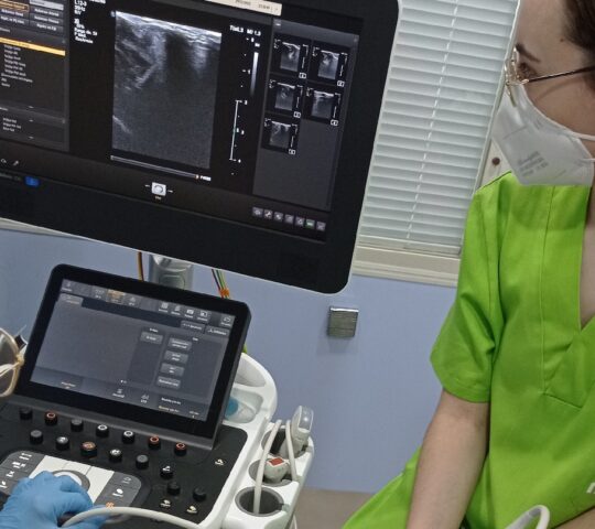 Taco Veterinary Clinic