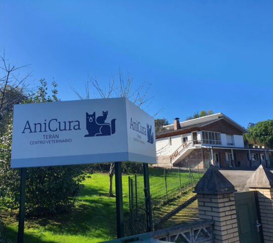 Teran Veterinary Hospital Teran Veterinary Hospital