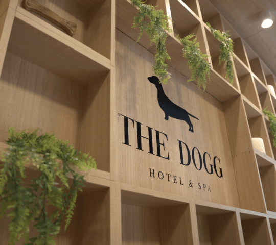 The Dog Salon The Dog Salon