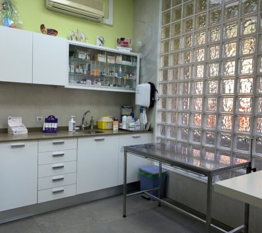 The Muses Veterinary Clinic