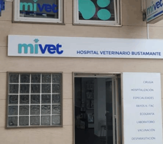 Tomás Bustamante Veterinary Hospital Tomás Bustamante Veterinary Hospital