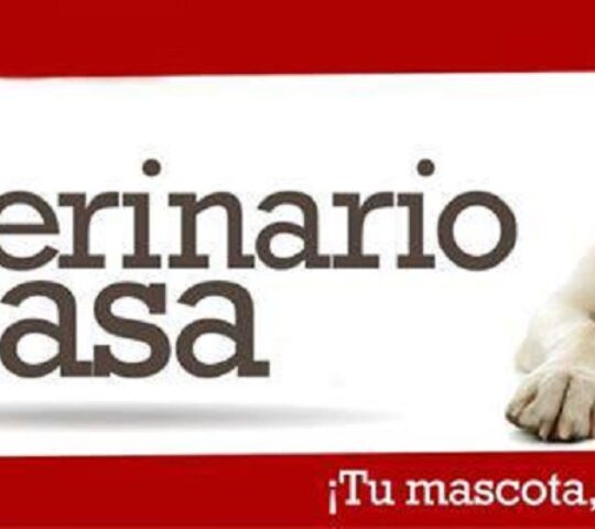 Tu Veterinario en Casa