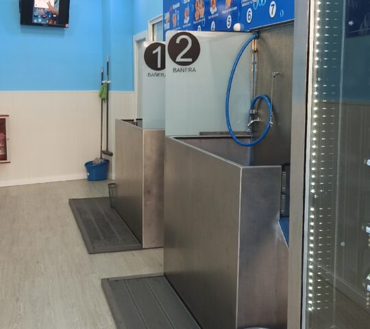 Tu centro de lavado y peluquería canina y felina en Gijón