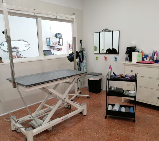 Txirikorda Txakur Ile-apaindegia Txirikorda Txakur Ile-apaindegia