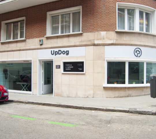 UpDog Peluquería y Guardería Canina UpDog Peluquería y Guardería Canina