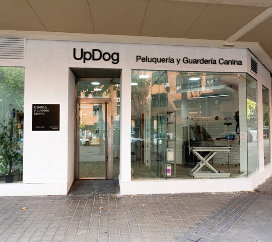 UpDog Peluquería y Guardería Canina