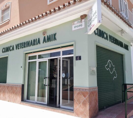 VETERINARY CLINIC AMIK CAMPANILLAS