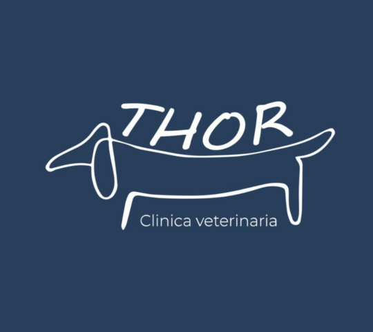VETERINARY CLINIC THOR
