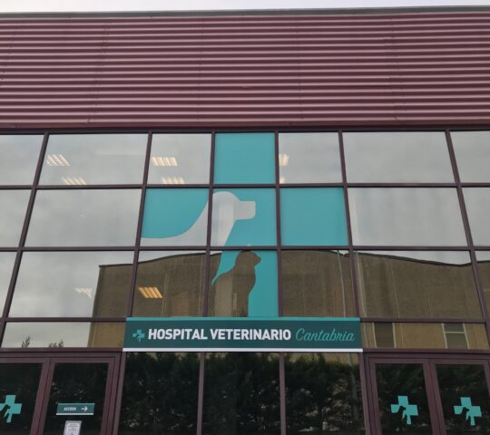 VETERINARY HOSPITAL CANTABRIA