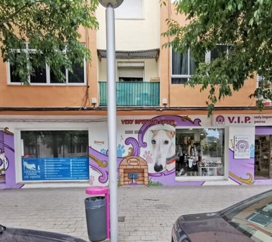 VIP Very Important Perros