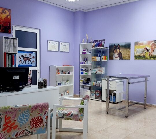 VernissaVet Centre Veterinari