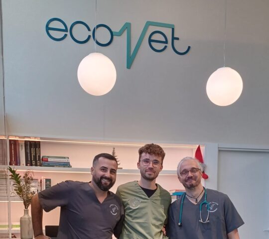 Veterinarios Exóticos Tenerife