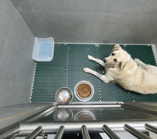 Veterinarios La Caridad