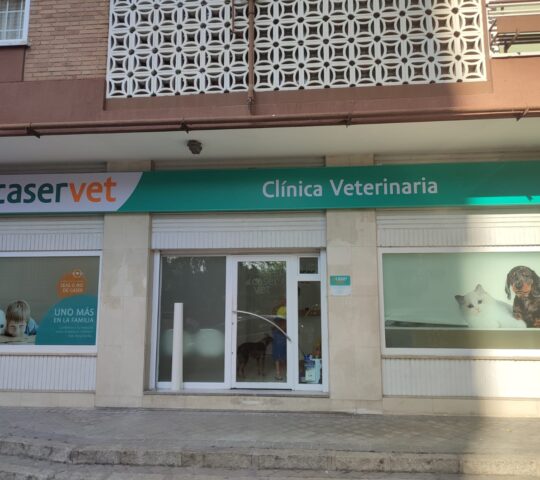 Veterinary Center Avenida Ramón Y Cajal