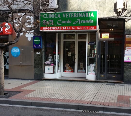 Veterinary Center Conde de Aranda