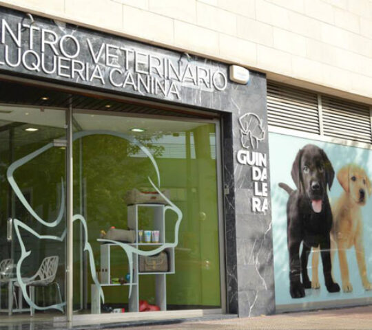 Veterinary Center Guindalera