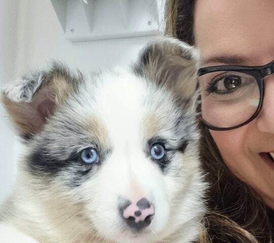 Veterinary Center Mascotiti