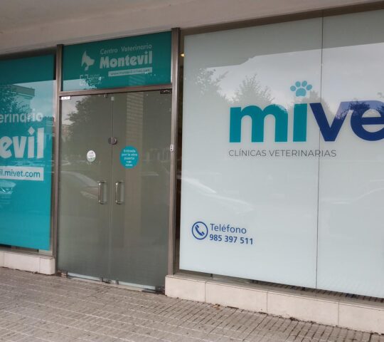 Veterinary Center Montevil