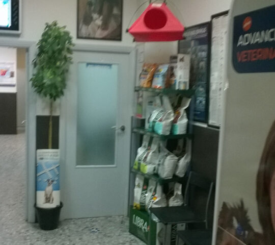 Veterinary Center Monzón