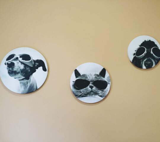 Veterinary Center SANICAN