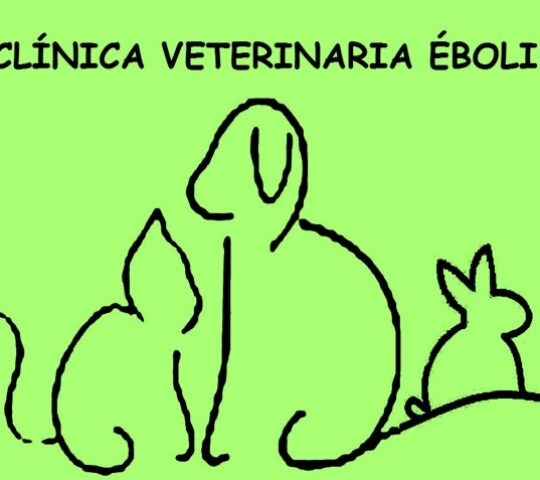 Veterinary Clinic Eboli Veterinary Clinic Eboli