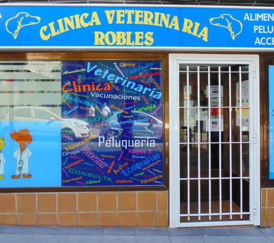 Veterinary Clinic Los Robles